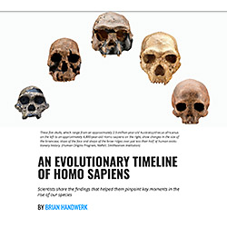 Evolution Timeline