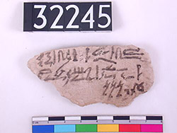hieratic script