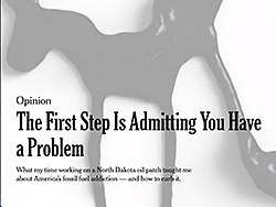 NY Times petroleum article
