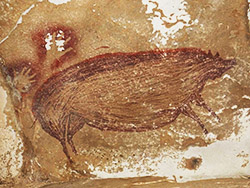 Painting of pig