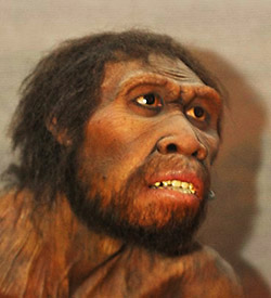 Where Language Came From